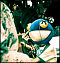 PonceDeLeon's Avatar